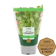 Tesco Coriander Medium Pot
